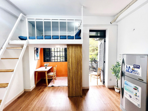 Cho thuê căn hộ Duplex (gác), Q10, đường Trần Thiện Chánh, gần ĐH Y Khoa, ĐH Kinh Tế, Vạn Hạnh Mall