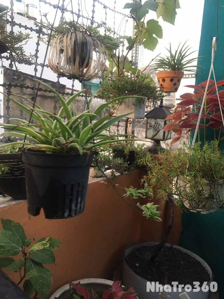 Cho thuê phòng đẹp thoáng mát giá 5triệu 500