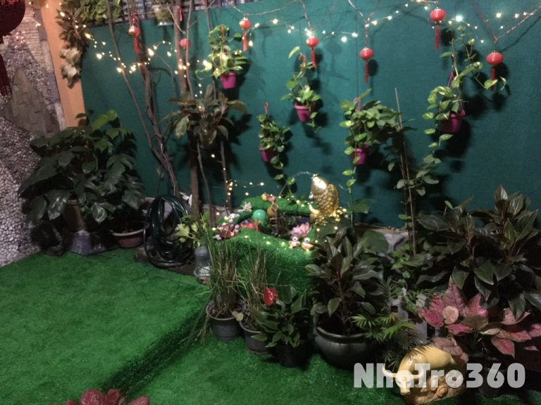 Cho thuê nhà 7triệu500, một trệt một lầu, sân rộng