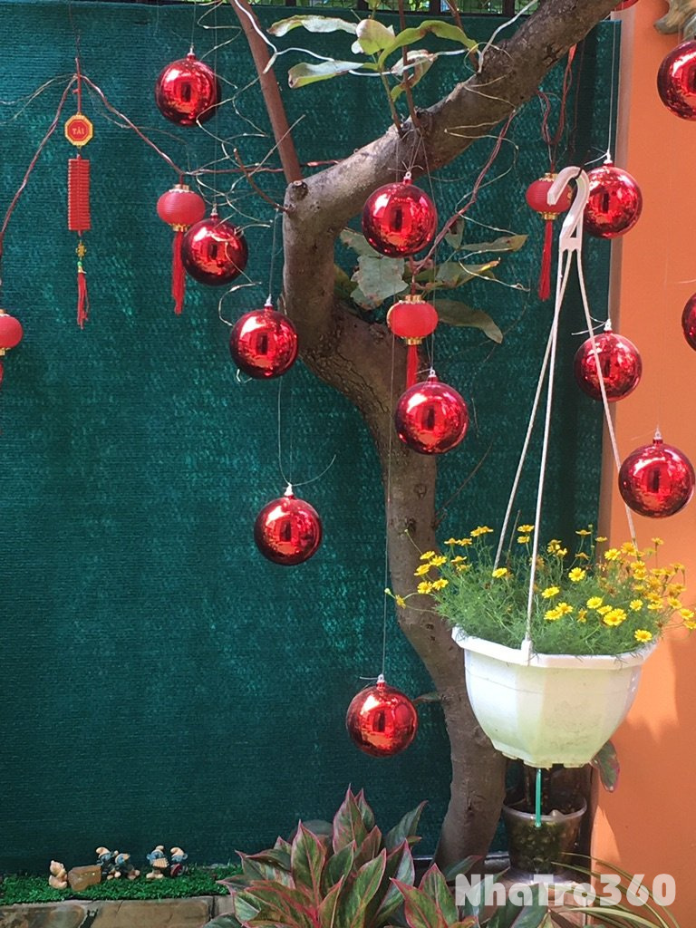 Cho thuê phòng đẹp thoáng mát giá 5triệu 500