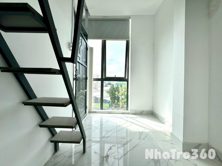 Phòng khai trương siêu rẻ