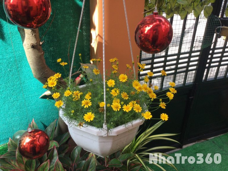 Cho thuê tầng 1 giá 5 triệu hẻm 42 hoàng hoa thám