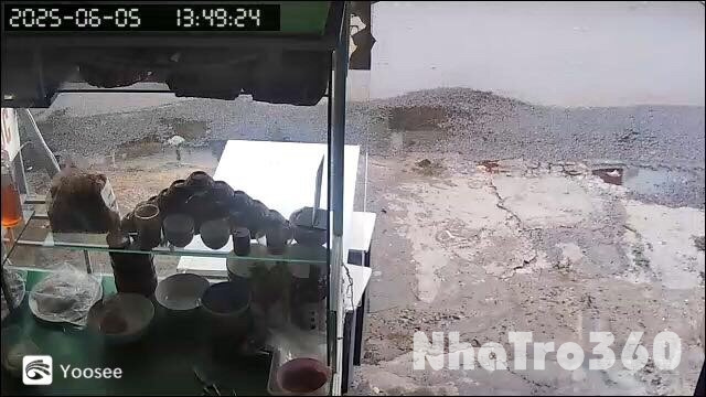 Cho thuê phòng và mặt bằng