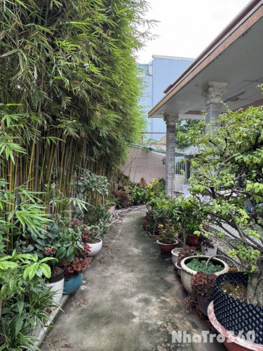 Phòng cho thuê yên tĩnh xanh mát