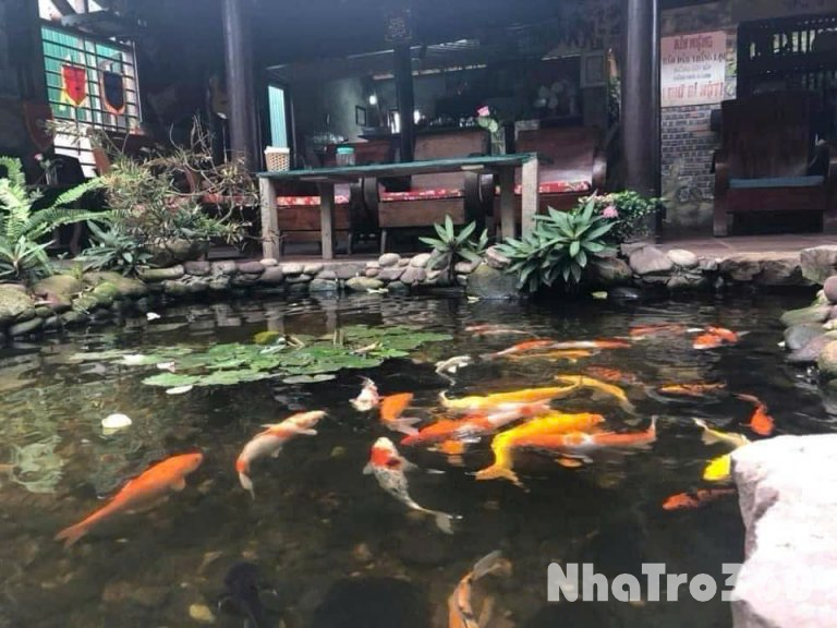 CC CHO THUÊ QUÁN CAFE TẠI PHƯỜNG HƯNG LỘC, TP VINH