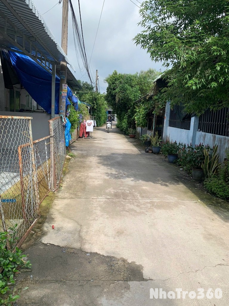 Cho Thuê Kho Xưởng May Mặc