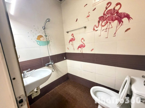 Cho thuê căn hộ Duplex (có gác), Q1, Đường Nguyễn Trãi, gần ĐH Văn Lang, ĐH Sài Gòn, CV 23/9