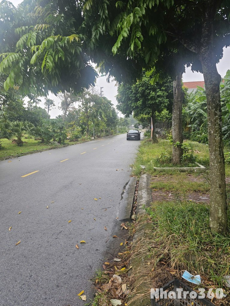 Bán đất nền khu đô thị phía Tây Cầu Phú Lương – khu dân cư văn minh, tiềm năng sinh lời cao.