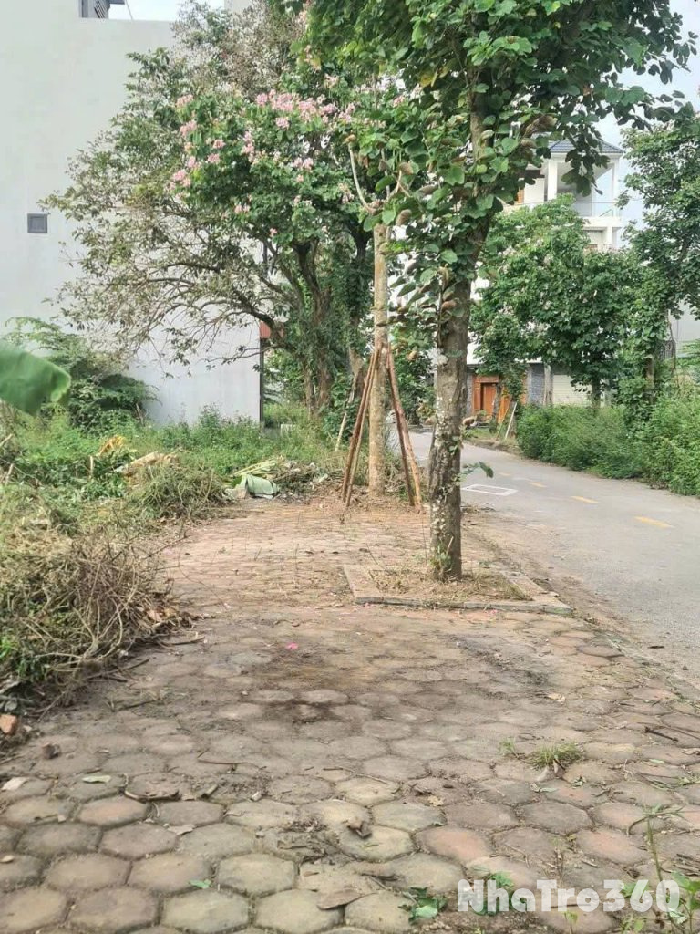 Bán đất nền khu đô thị phía Tây Cầu Phú Lương – khu dân cư văn minh, tiềm năng sinh lời cao.