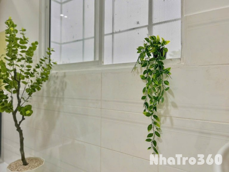 Duplex/ Studio 3.X số lượng có hạn - Bình Trưng