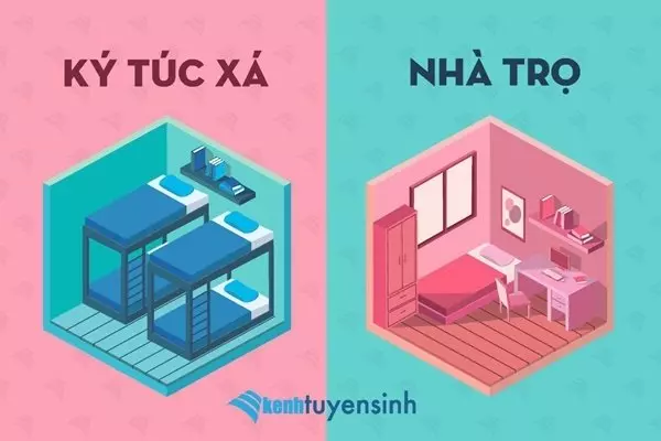 Nên sống ở ký túc xá hay phòng trọ? | Nhà Trọ 360